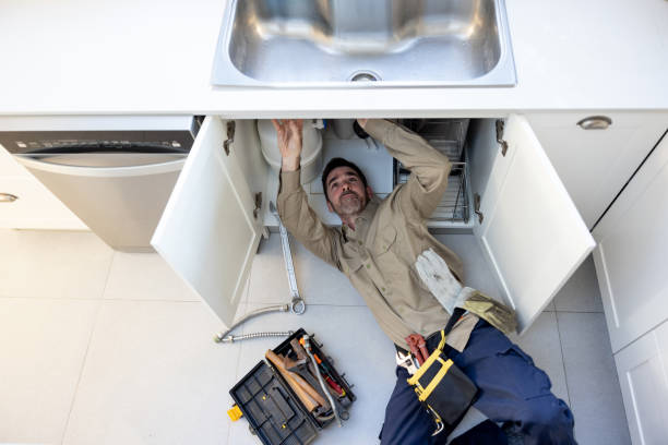 Best Plumbing Services Near Me  in Yalaha, FL