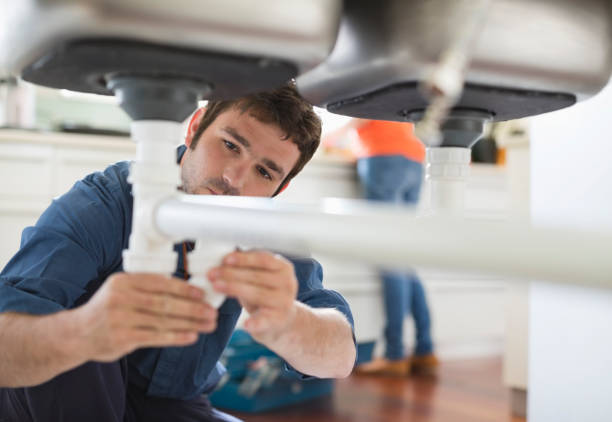 Best Boilers & Radiators  in Yalaha, FL